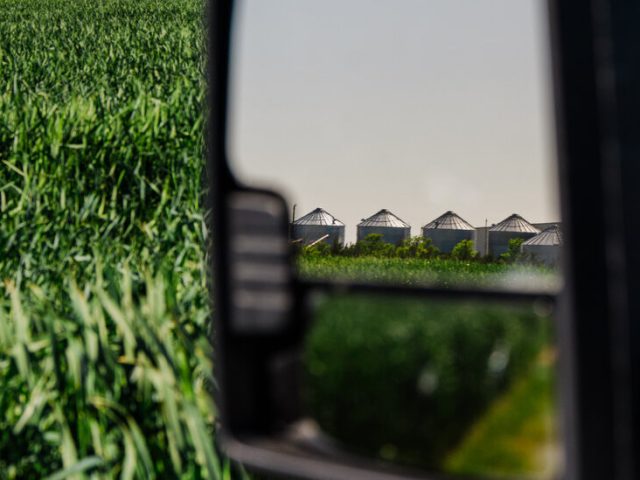 From Food Aid to Dog Chow? How Trump’s Cuts Hurt Kansas Farmers.