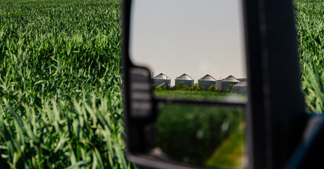 From Food Aid to Dog Chow? How Trump’s Cuts Hurt Kansas Farmers.  at george magazine