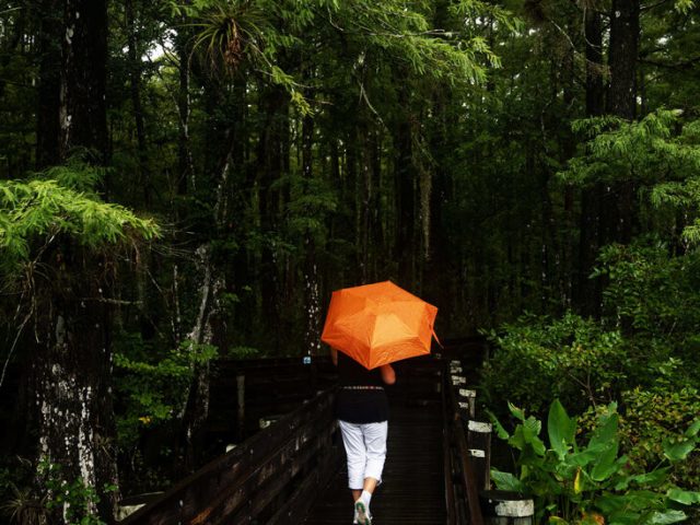 A Potential Tropical Depression Brings Heavy Rain To Florida