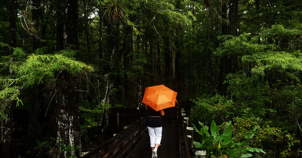 A Potential Tropical Depression Brings Heavy Rain To Florida  at george magazine