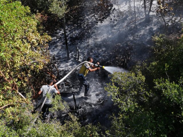 Wildfires Sweep Syria’s Coast as Drought Strains Fragile State
