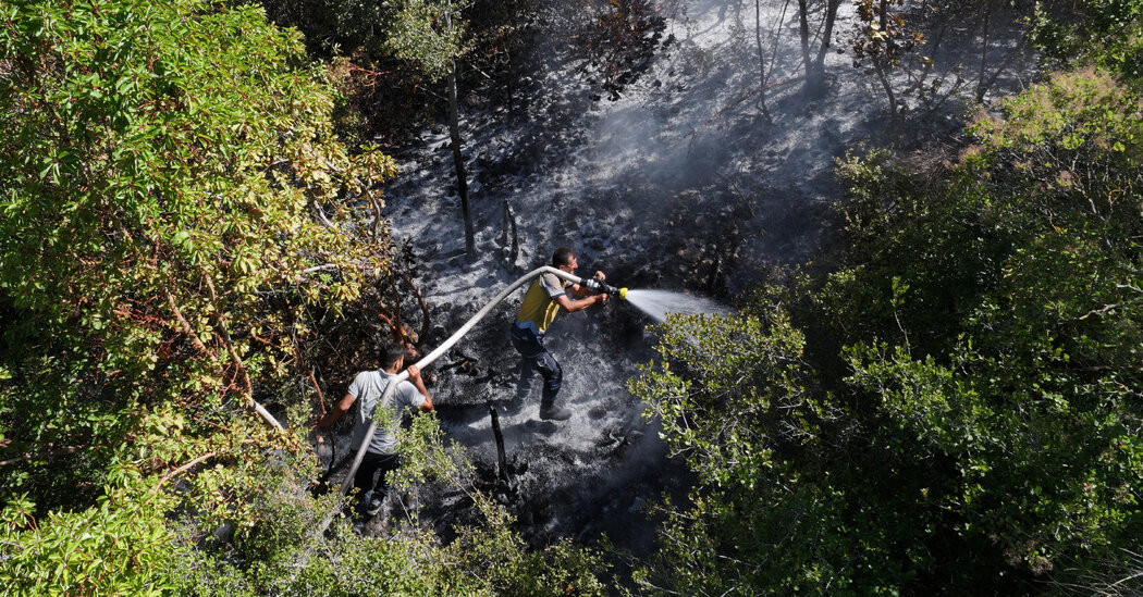 Wildfires Sweep Syria’s Coast as Drought Strains Fragile State  at george magazine