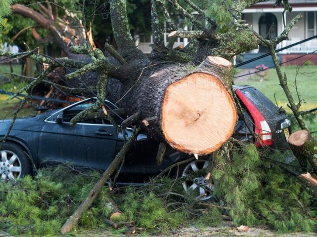 Brief but Violent Storms in New Jersey Leave 3 Dead