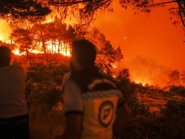 Wildfires Scar Syria Anew