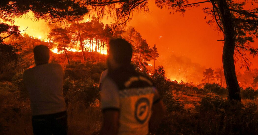 Wildfires Scar Syria Anew  at george magazine