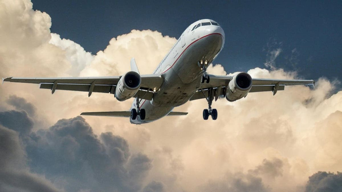 Airlines secretly sold US travelers’ data to Homeland Security  at george magazine