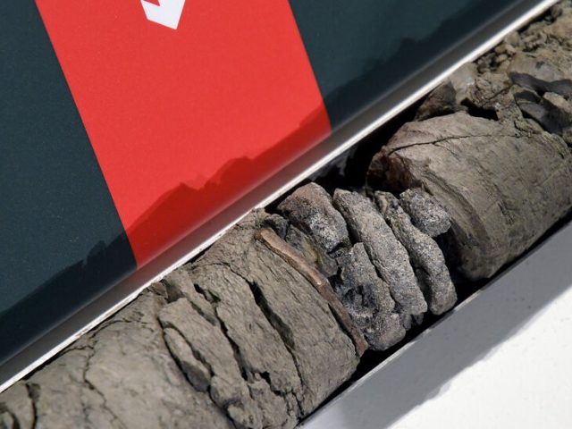 Denver Museum Finds a Dinosaur Fossil Under Its Parking Lot