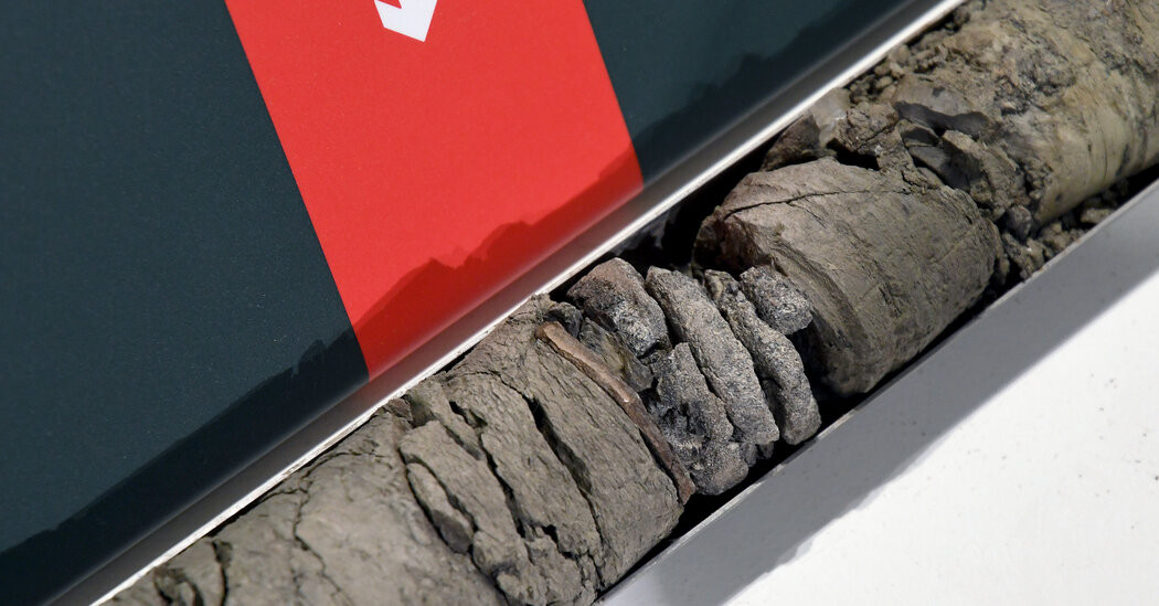 Denver Museum Finds a Dinosaur Fossil Under Its Parking Lot  at george magazine