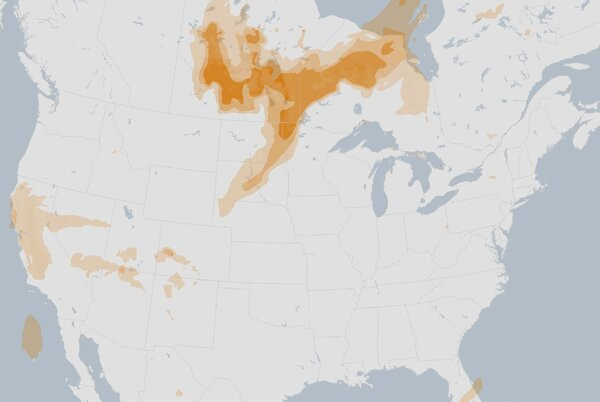 Manitoba Declares Second Wildfire Emergency in a Near-Record Year