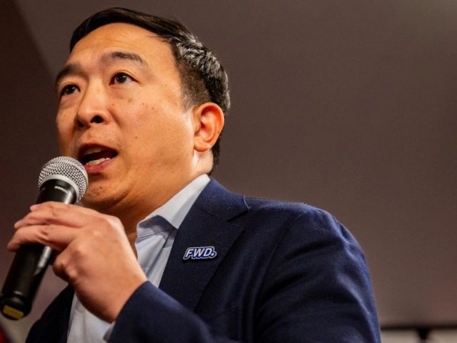 Elon Musk connects with indie Andrew Yang on billionaire former Trump ally’s third party push