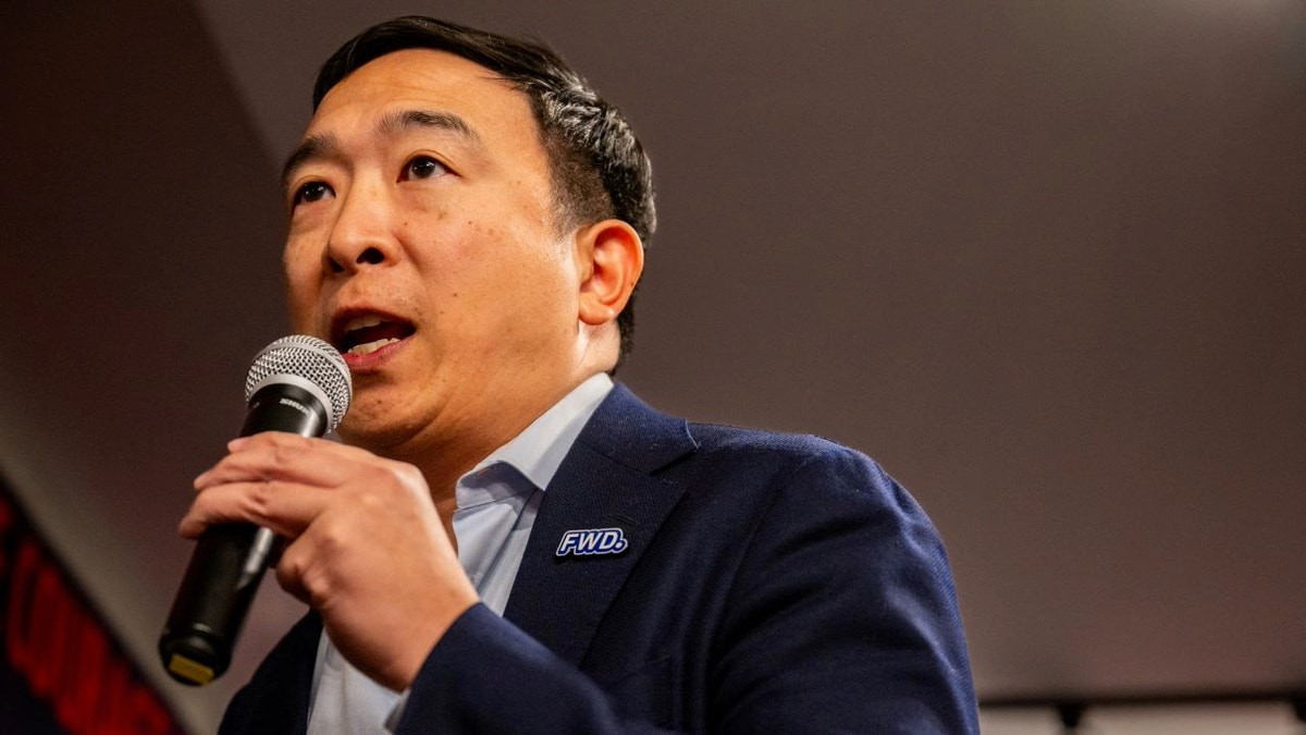Elon Musk connects with indie Andrew Yang on billionaire former Trump ally's third party push  at george magazine