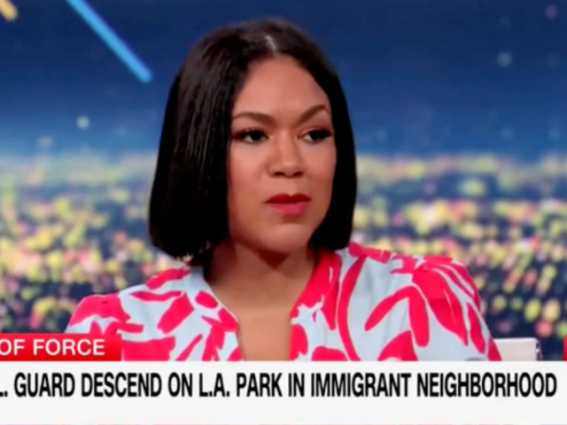 Ex-MSNBC host accuses Trump admin of ‘kidnapping’ people and ‘transporting them to concentration camps’