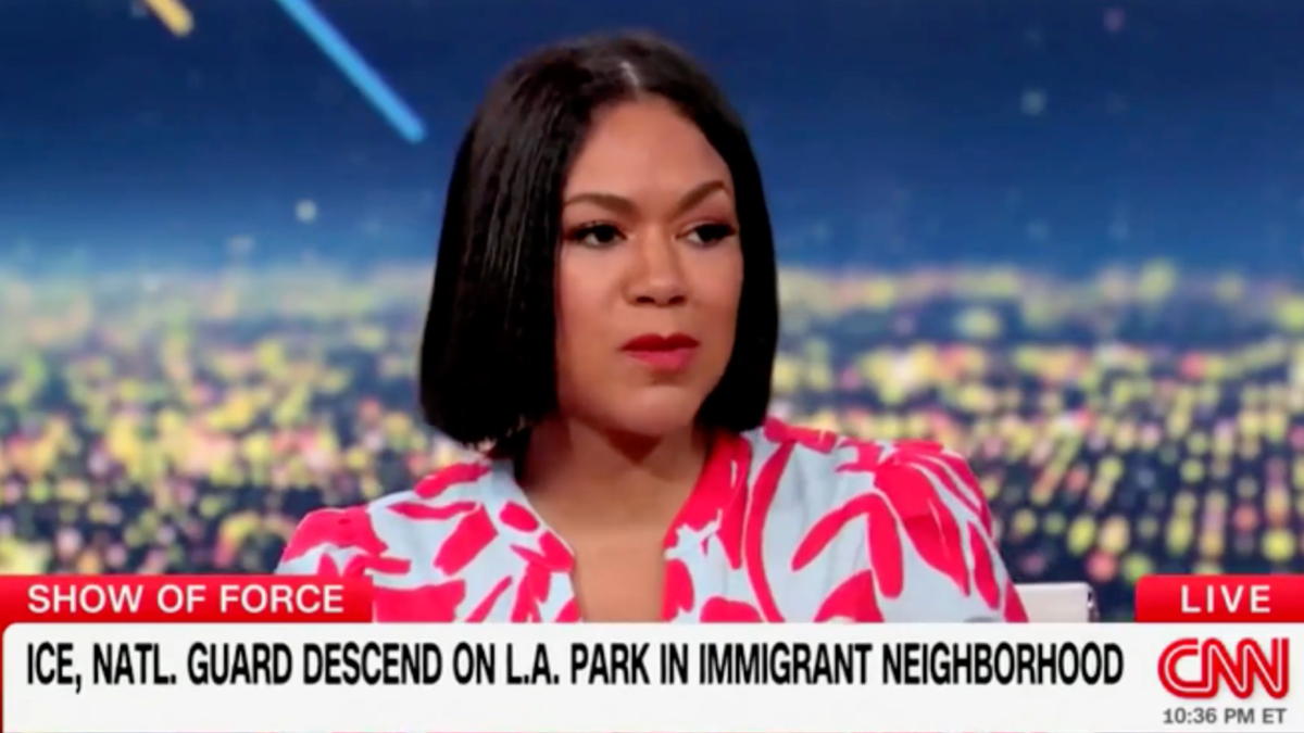 Ex-MSNBC host accuses Trump admin of 'kidnapping' people and 'transporting them to concentration camps'  at george magazine