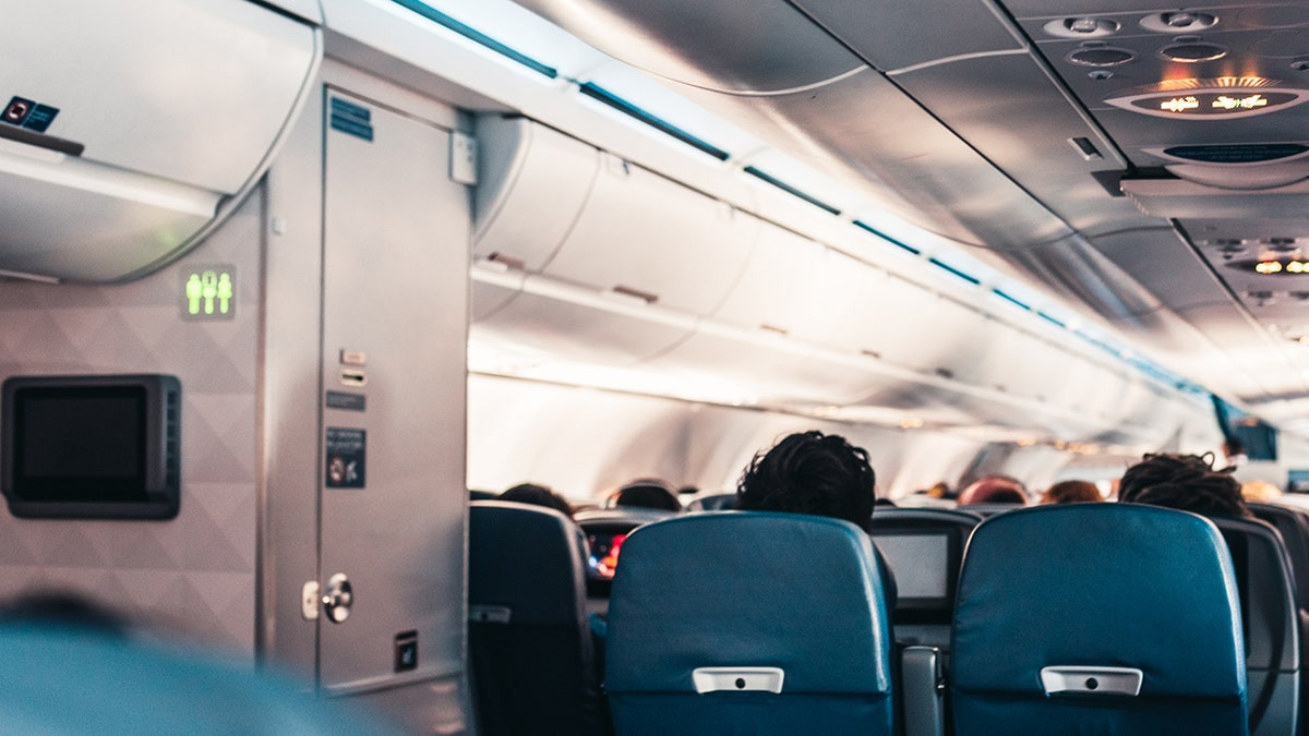 The gross reason airplane passengers might want to avoid using the water on flights  at george magazine