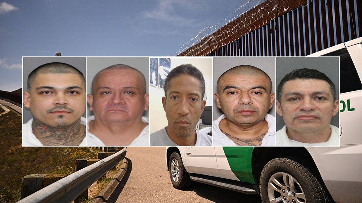 ICE removes airplane hijacker among 1,361 violent criminals in Houston sweep  at george magazine