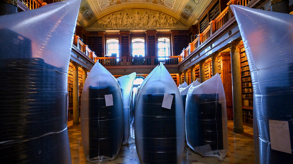 Destructive bug infestation threatens historic 1,000-year-old book collection  at george magazine
