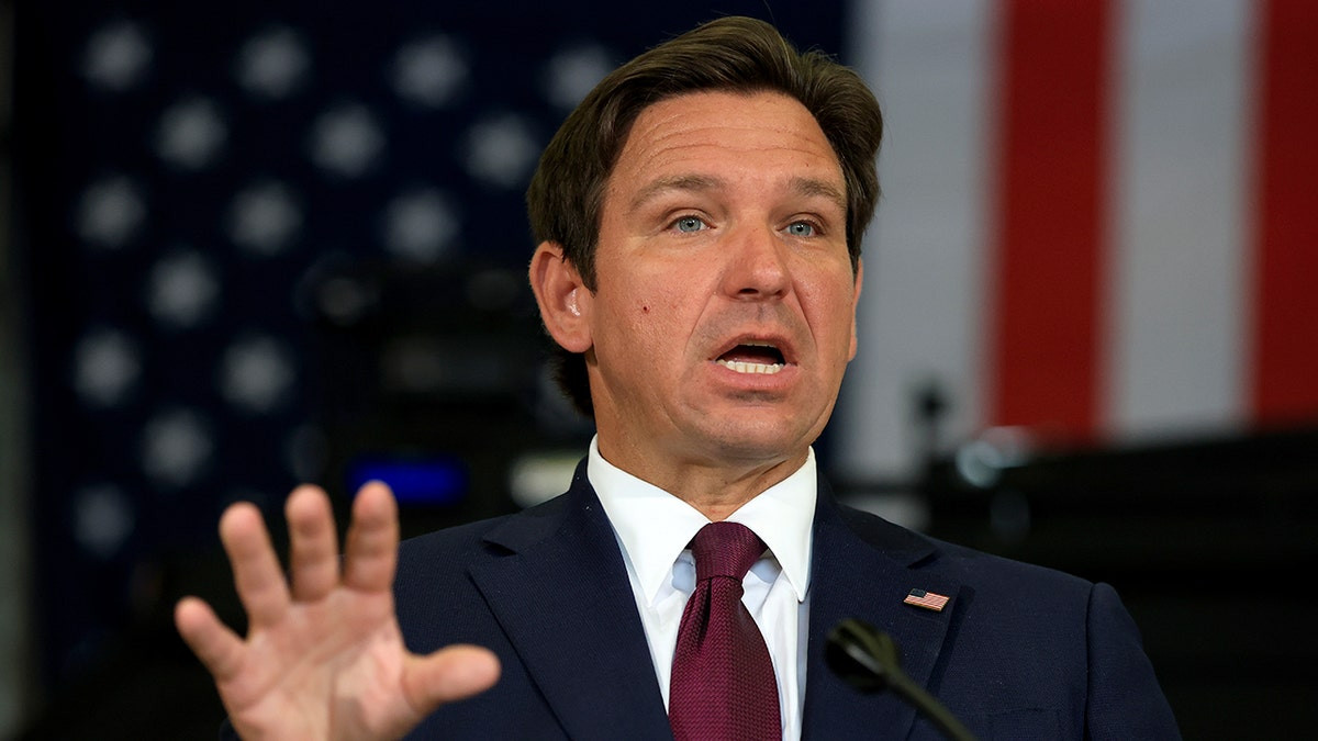 DeSantis not keen on Musk's new political party, has another idea for disrupting DC  at george magazine