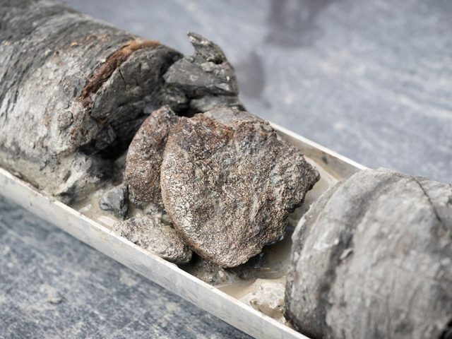 Museum discovers rare 67-million-year-old dinosaur bone under its own parking lot