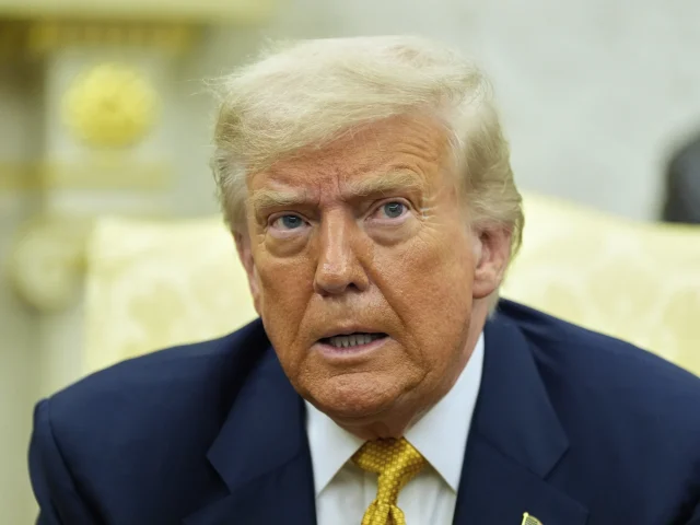 Trump calls Republicans who have fallen for Epstein ‘hoax’ ‘stupid’