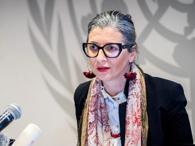 UN report targeting Israel sparks backlash, author accused of overstepping her mandate