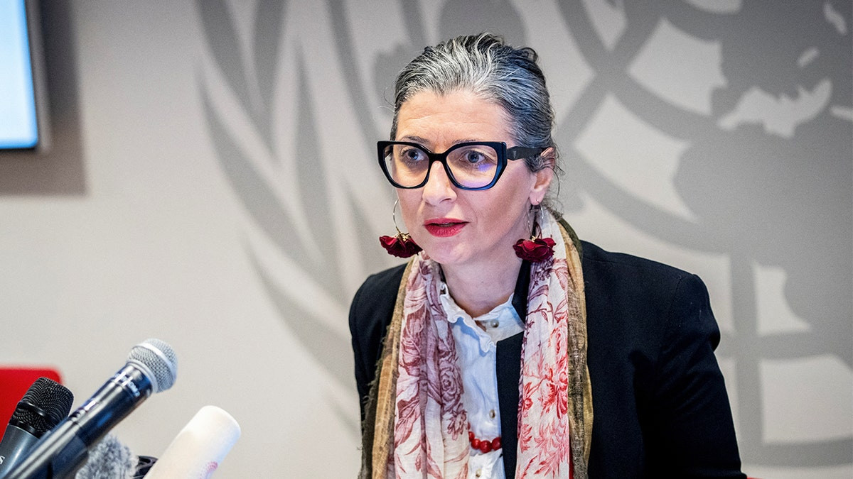 UN report targeting Israel sparks backlash, author accused of overstepping her mandate  at george magazine