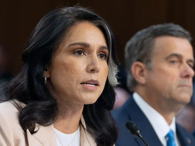 Gabbard says Obama administration ‘manufactured intelligence’ on 2016 election interference