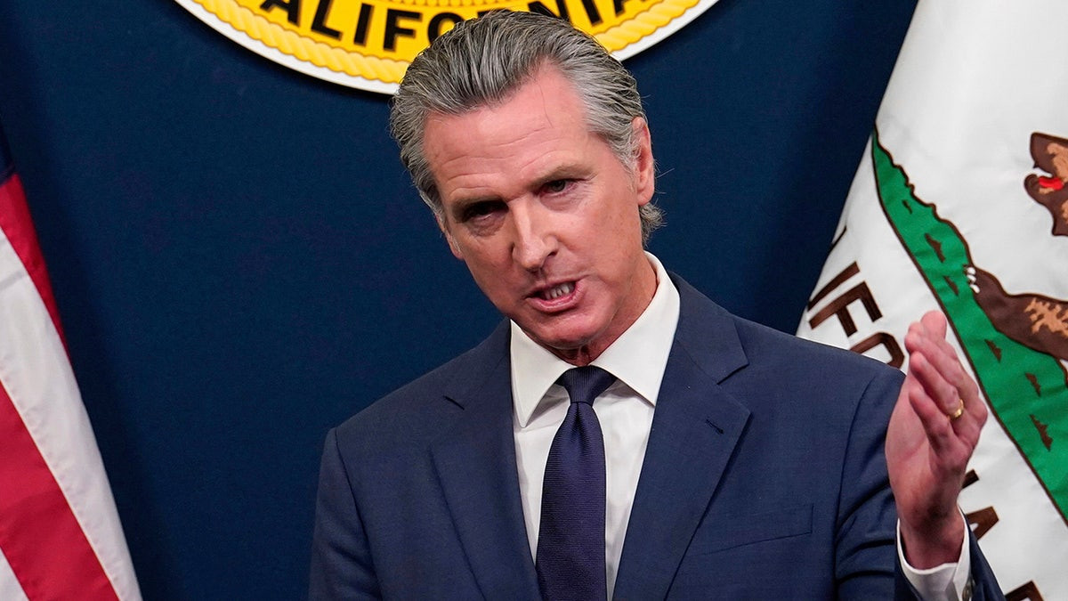 High-speed rail isn't California's only expensive boondoggle  at george magazine