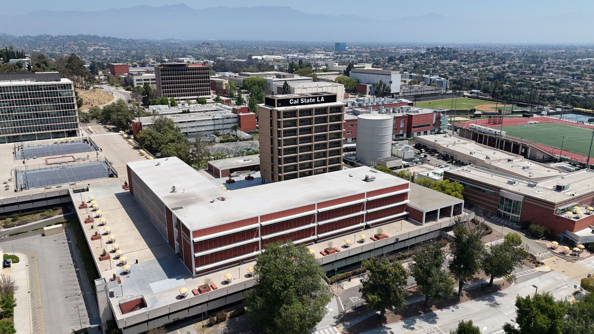 Cal State LA lets professors move classes online due to student fears over ICE immigration enforcement  at george magazine