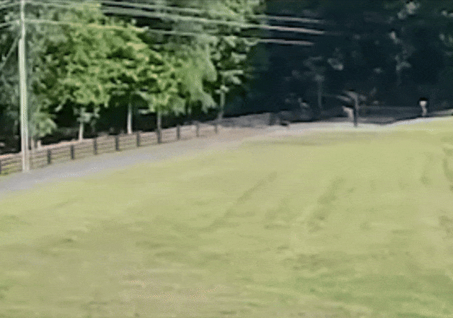 SEE IT: Small plane flips over in South Carolina backyard after pilot’s deliberate maneuver