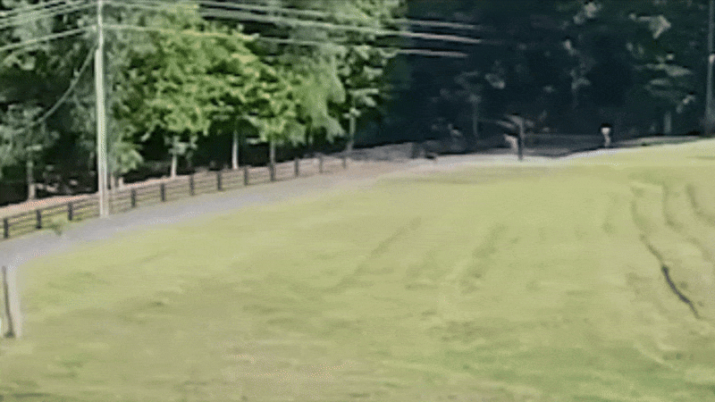 SEE IT: Small plane flips over in South Carolina backyard after pilot's deliberate maneuver  at george magazine