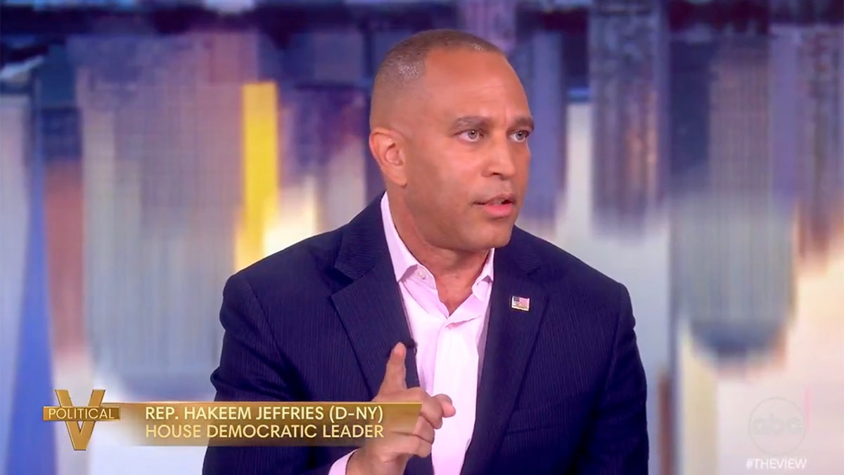 Hakeem Jeffries tells 'The View' ICE is going after 'law-abiding immigrant families'  at george magazine