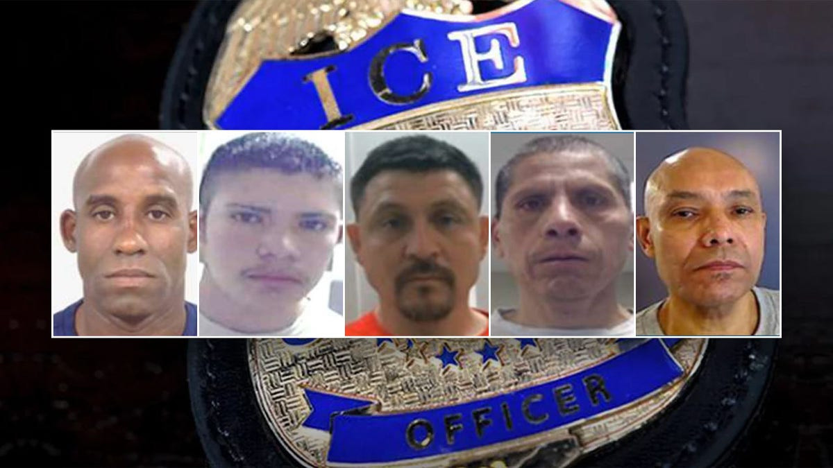 DHS arrests five illegal immigrants convicted of serious crimes, including murder and child abuse  at george magazine