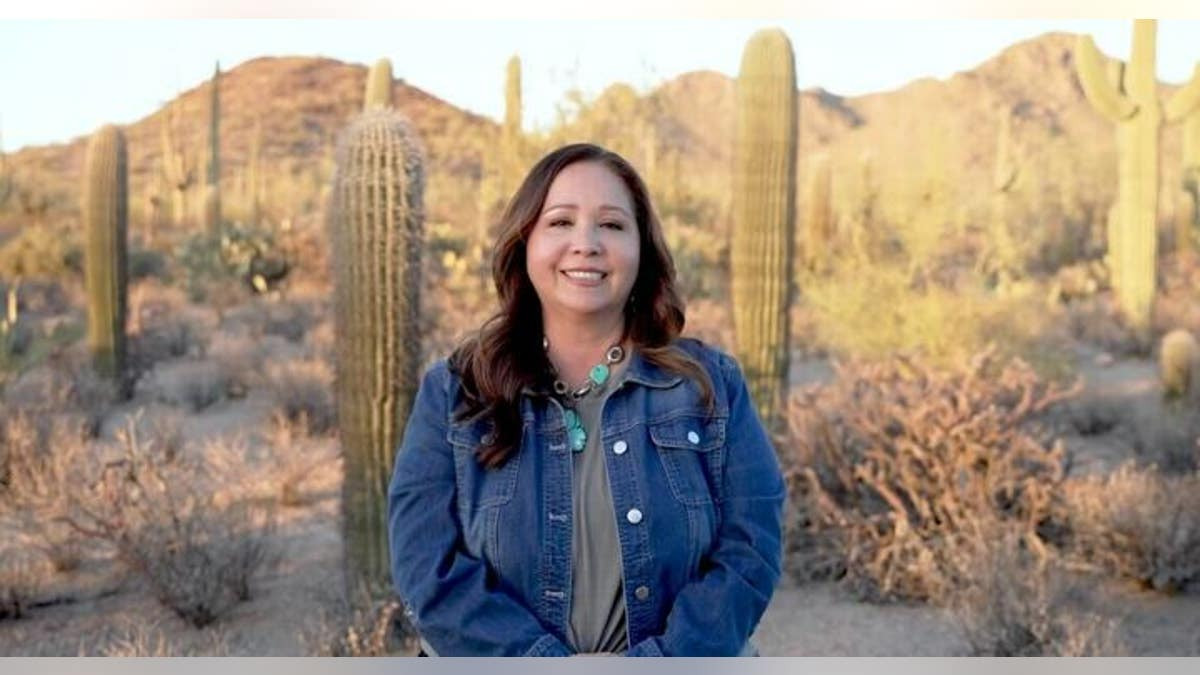 Establishment-backed Democrat wins high-profile congressional primary in Arizona  at george magazine