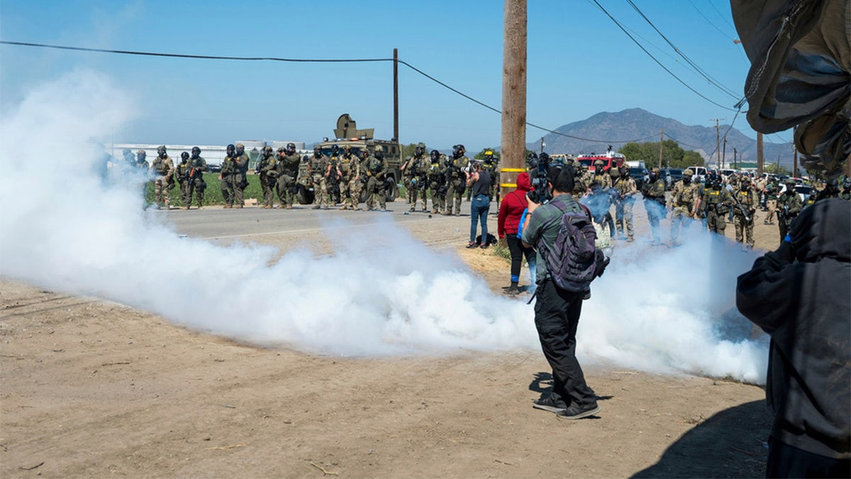 Child predator among more than 300 nabbed in cannabis farm ICE raid, largest of Trump's second term  at george magazine