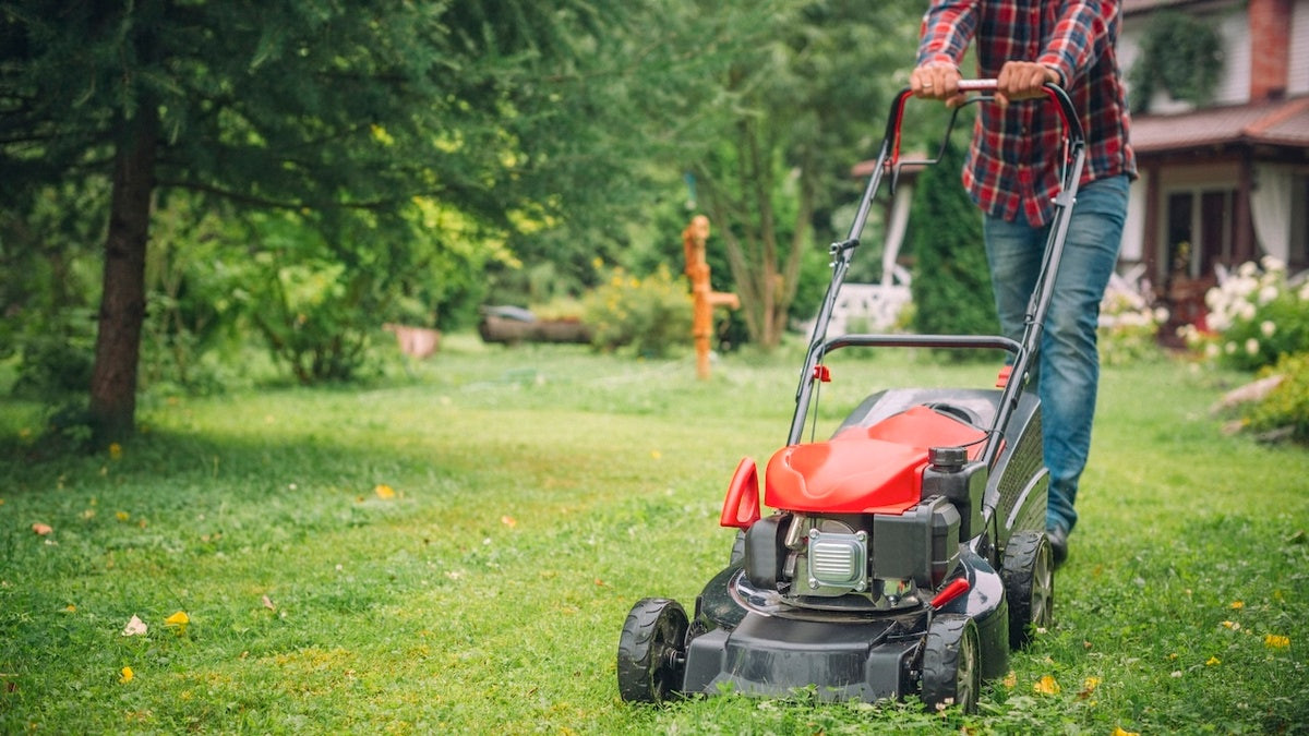 Amazon Prime Day: Get up to 50% off lawn equipment  at george magazine
