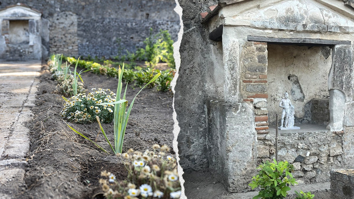 Ancient Roman 'perfume garden' blooms again nearly 1,900 years after Vesuvius eruption  at george magazine