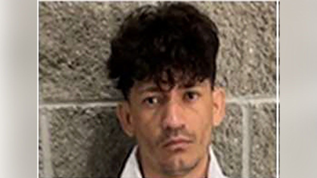 ‘Worst of the worst’ snared: ICE nabs illegal immigrants convicted of horrific crimes  at george magazine