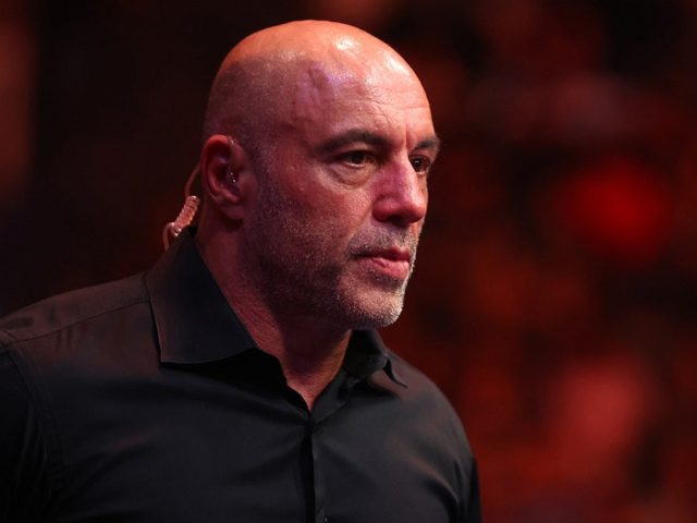 Mark Ruffalo slams Joe Rogan as ‘a little late’ after podcast host calls Trump ICE raids ‘insane’