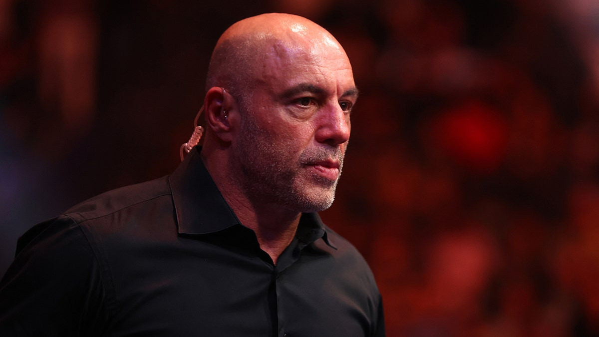 Mark Ruffalo slams Joe Rogan as 'a little late' after podcast host calls Trump ICE raids 'insane'  at george magazine