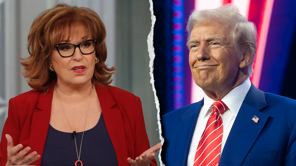 Joy Behar gives wild theory about how Trump's using Rosie O'Donnell to distract from Epstein  at george magazine