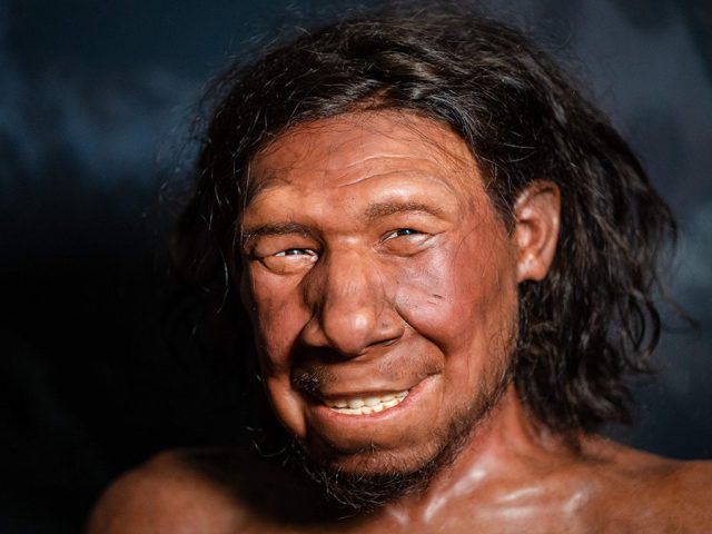 Neanderthals extracted animal fat in advanced food prep ‘fat factories’ 125,000 years ago: report