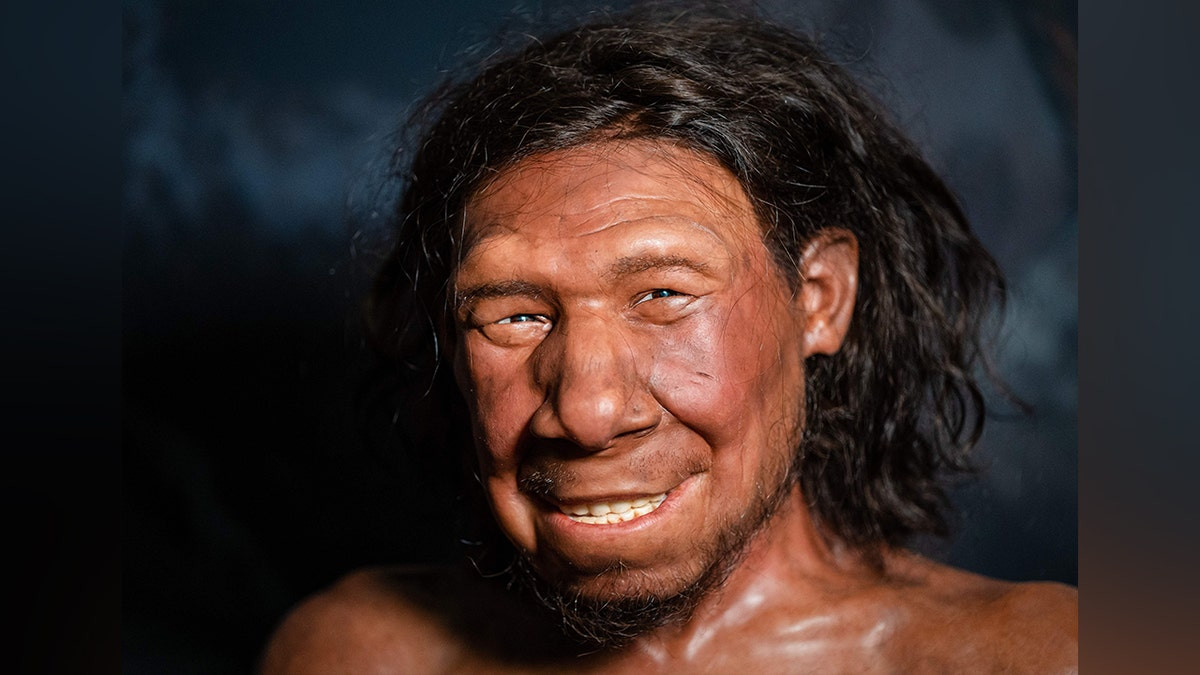 Neanderthals extracted animal fat in advanced food prep 'fat factories' 125,000 years ago: report  at george magazine