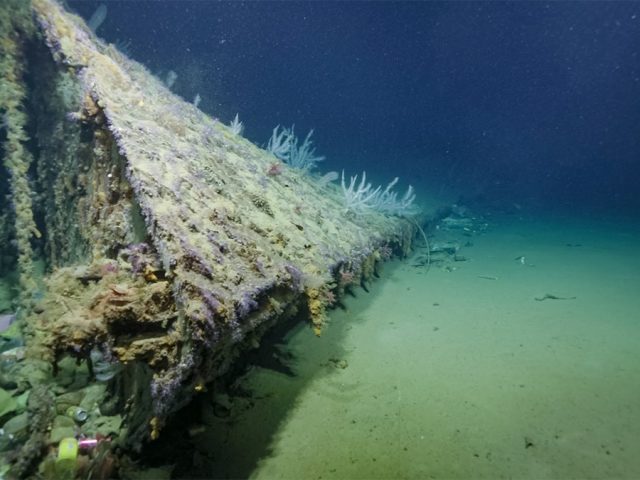 WWII American warship’s severed bow found 80 years after being blown off in battle