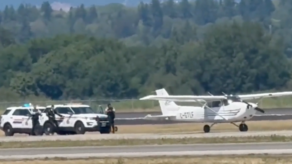 Pilot with 'ideological motive' steals small aircraft and disrupts major international airport operations  at george magazine