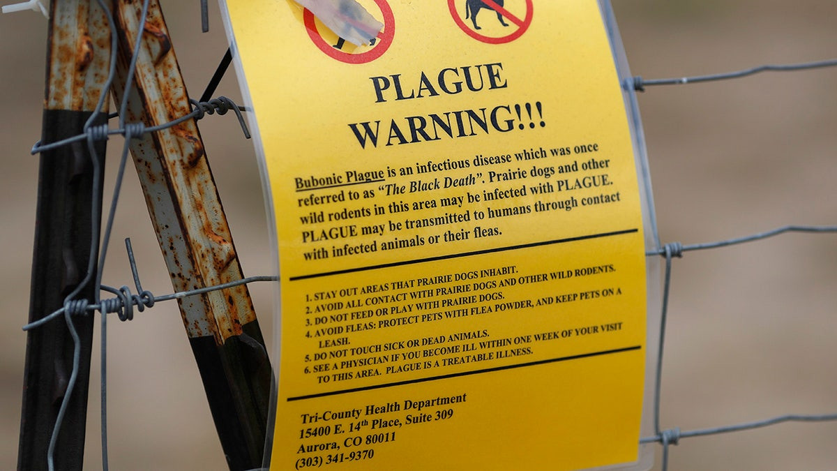 Arizona resident dies of pneumonic plague, the first deadly case in area in nearly 20 years  at george magazine