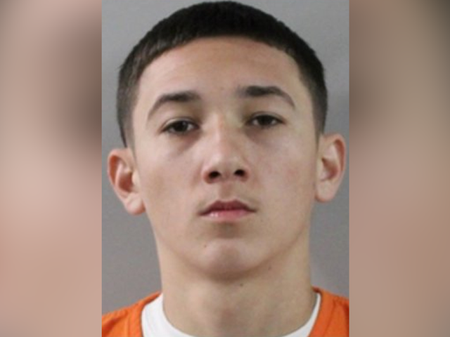 Florida teen threatens to shoot up McDonald’s after $5 order is messed up: police
