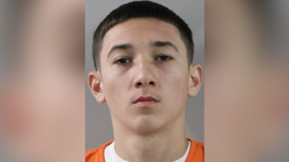 Florida teen threatens to shoot up McDonald's after $5 order is messed up: police  at george magazine