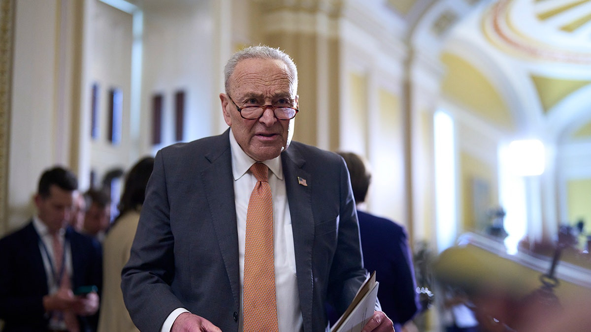 Schumer says century-old law forces Trump DOJ, FBI to release Jeffrey Epstein files by August deadline  at george magazine