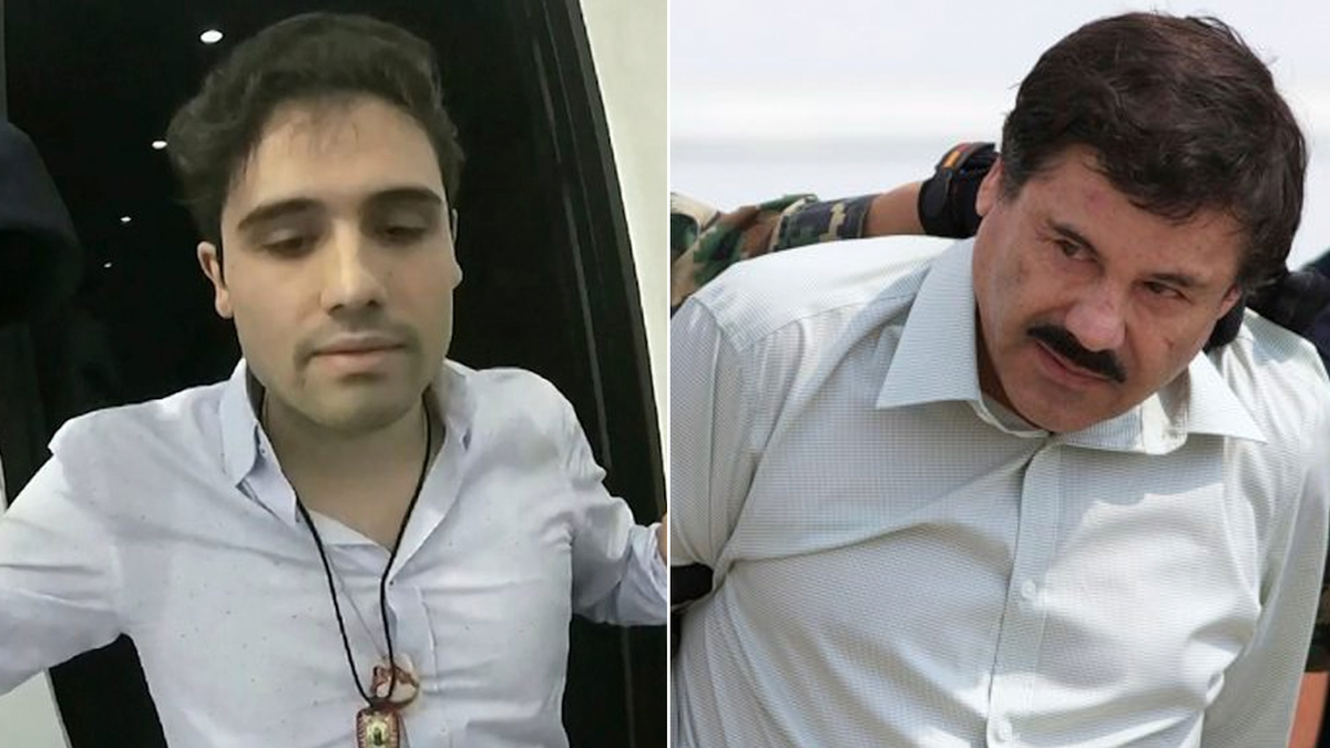 War on cartels yields results as 'El Chapo' heir confesses to running violent drug empire  at george magazine