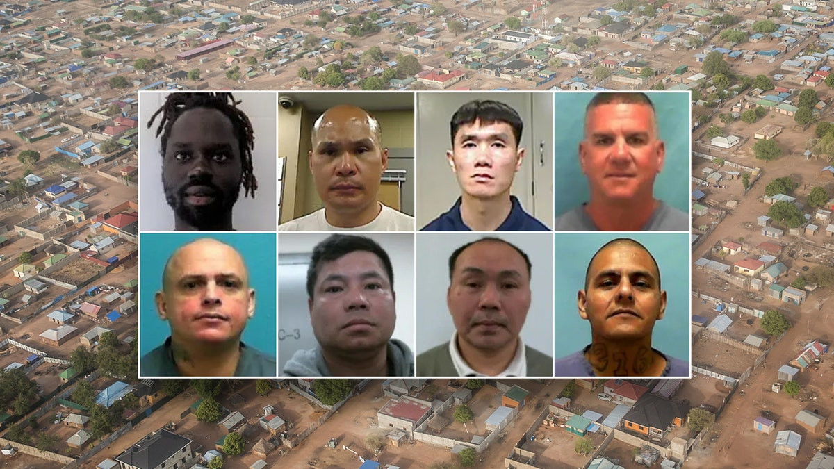 DHS: Several criminal illegal aliens deported to South Sudan after delays from 'activist judges'  at george magazine